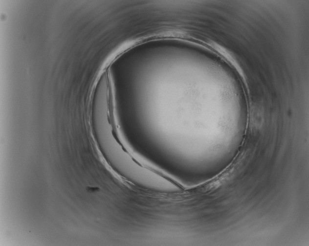 X0000086091437200704091315