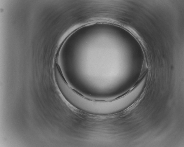 X0000086091438200704091315