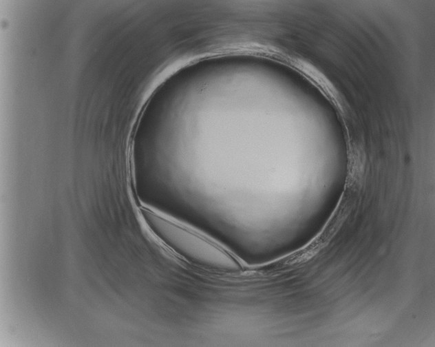 X0000086091439200704091315