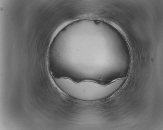 X0000086091440200704091315