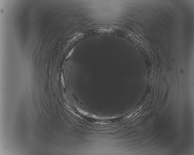 X0000086091441200704091314