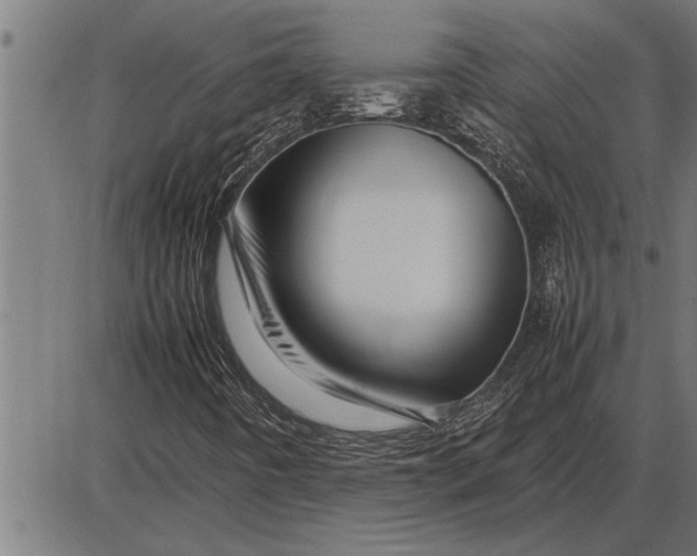 X0000086091442200704091314