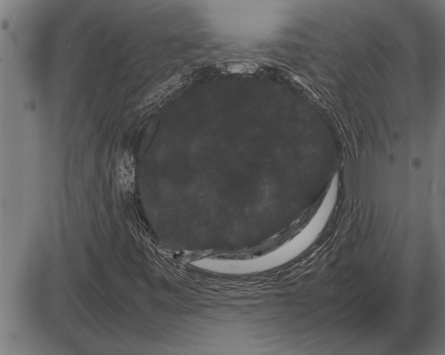 X0000086091443200704091314