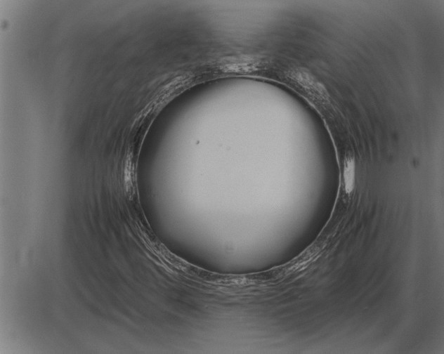 X0000086091444200704091314