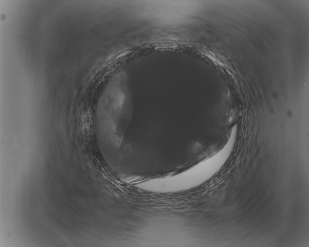 X0000086091445200704091314