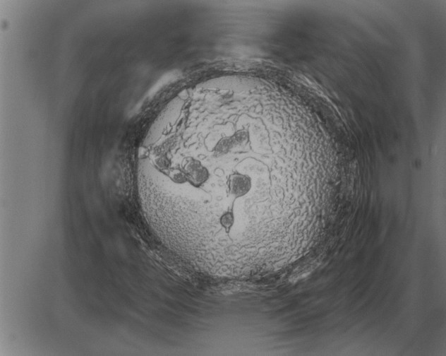 X0000086091446200704091314