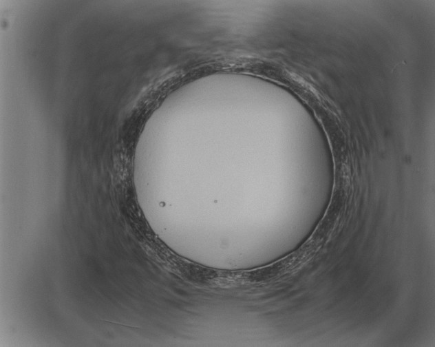 X0000086091447200704091314