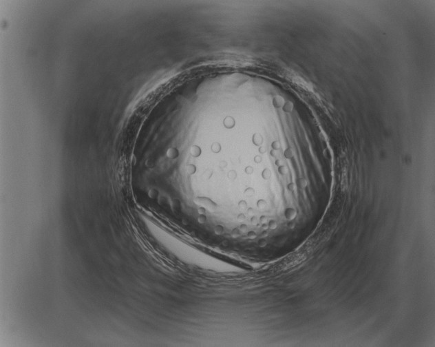 X0000086091448200704091314