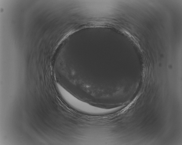 X0000086091449200704091314