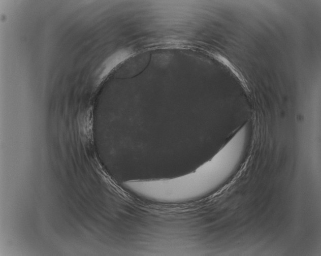 X0000086091450200704091314