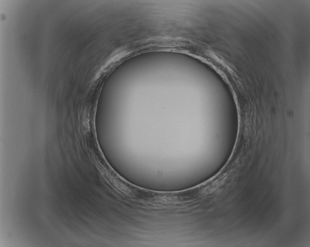 X0000086091451200704091314