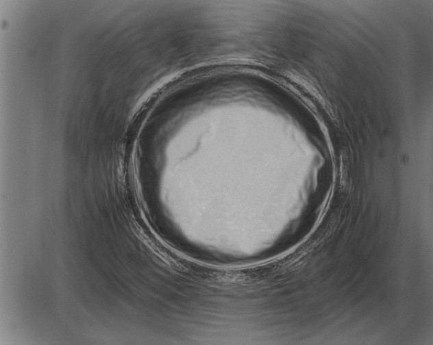 X0000086091452200704091314