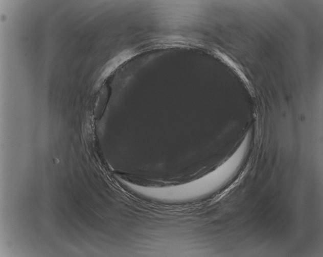 X0000086091453200704091314