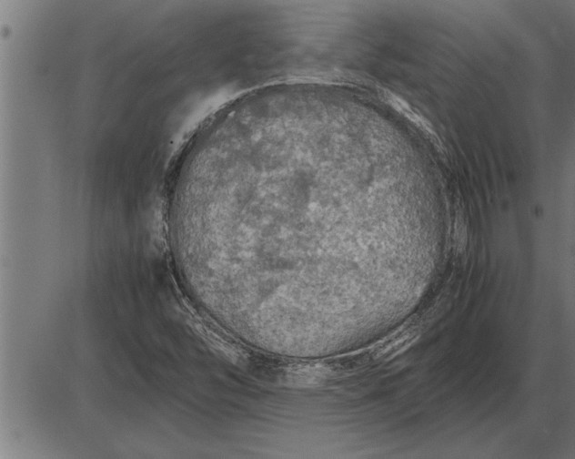 X0000086091454200704091314