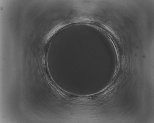 X0000086091455200704091314