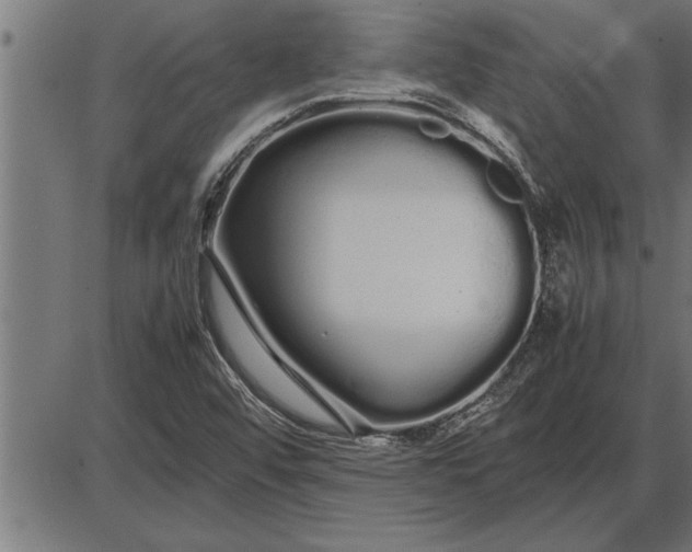 X0000086091456200704091314