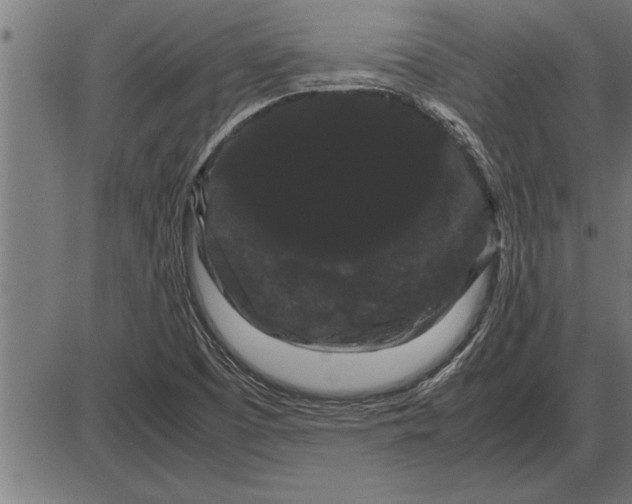 X0000086091457200704091314