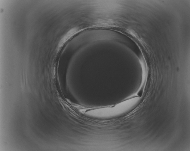 X0000086091459200704091314