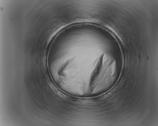 X0000086091460200704091314