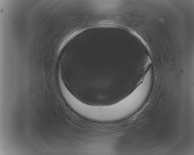 X0000086091461200704091314