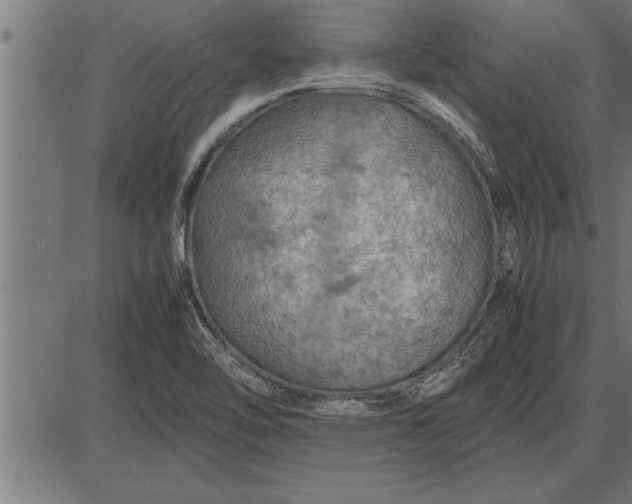 X0000086091462200704091314