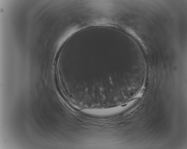 X0000086091463200704091314