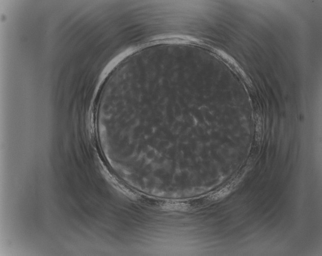 X0000086091466200704091314