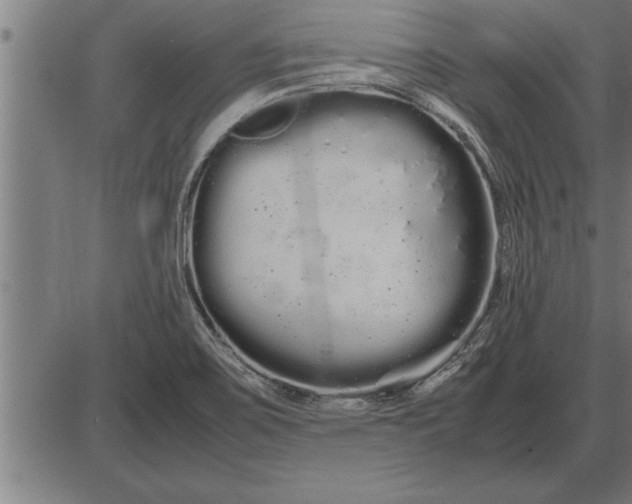 X0000086091467200704091314