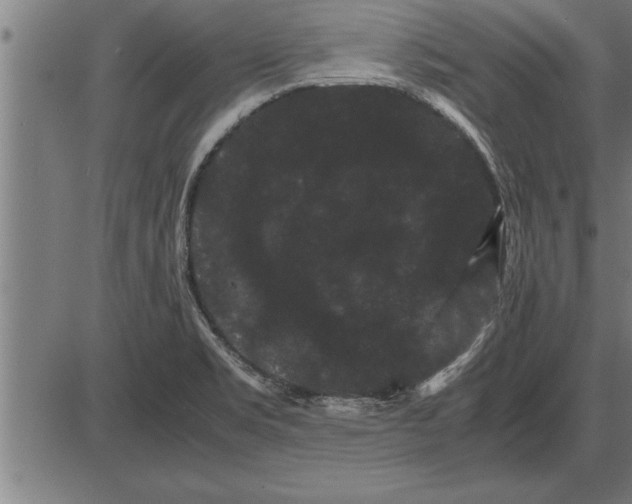 X0000086091469200704091314