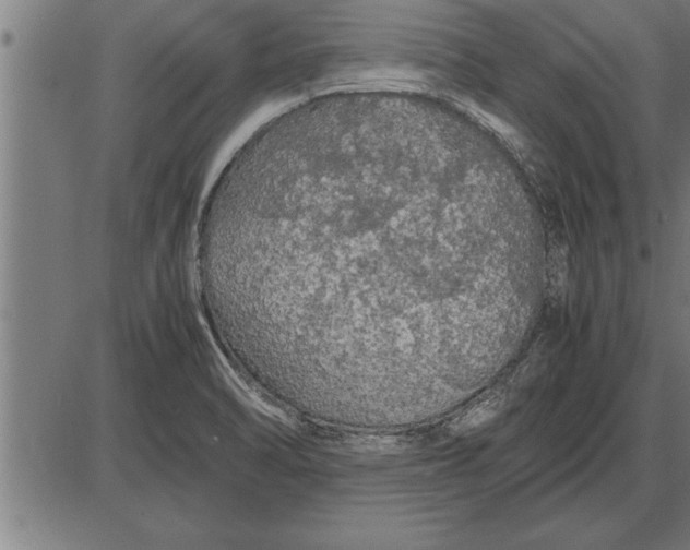 X0000086091470200704091314