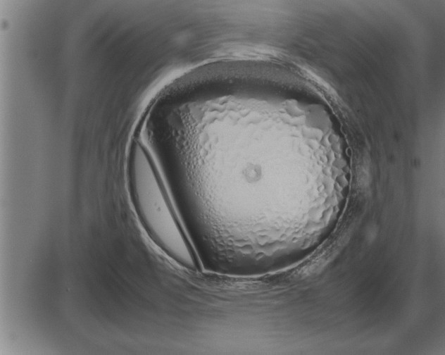 X0000086091471200704091314