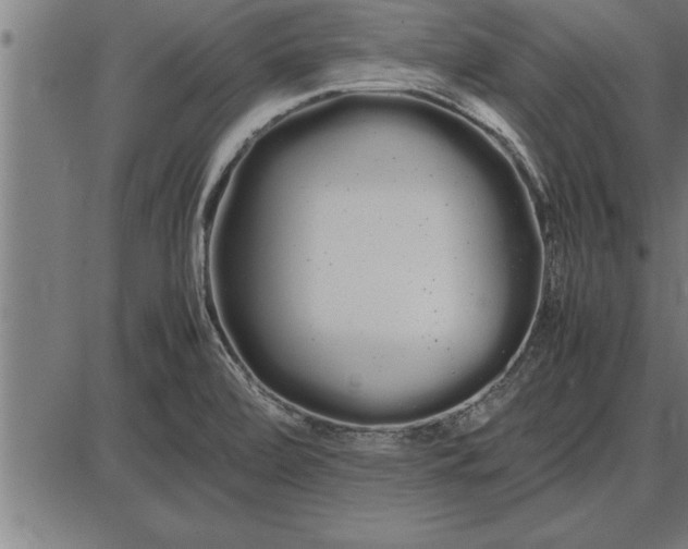 X0000086091472200704091314