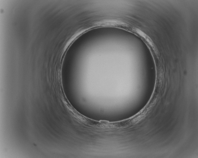 X0000086091473200704091314