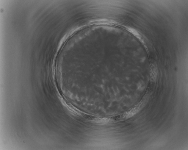 X0000086091474200704091314