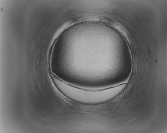 X0000086091475200704091314