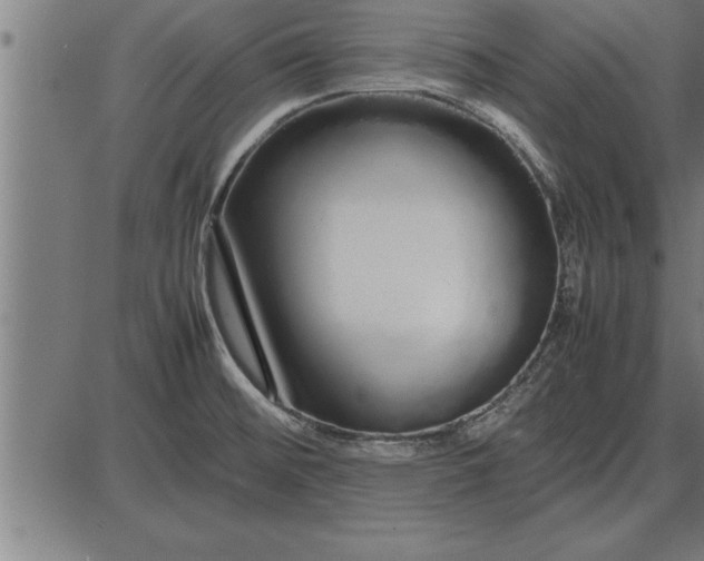 X0000086091476200704091314