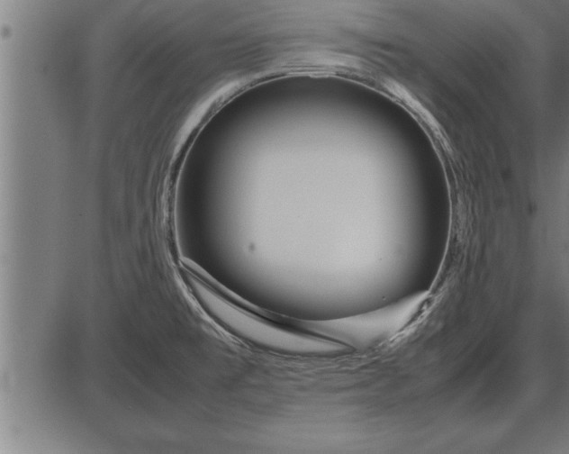 X0000086091477200704091314