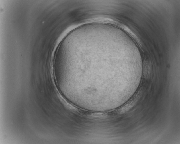 X0000086091478200704091314