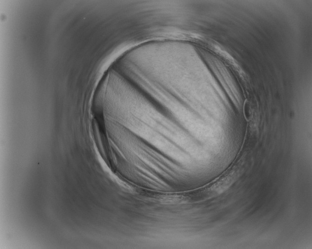 X0000086091479200704091314