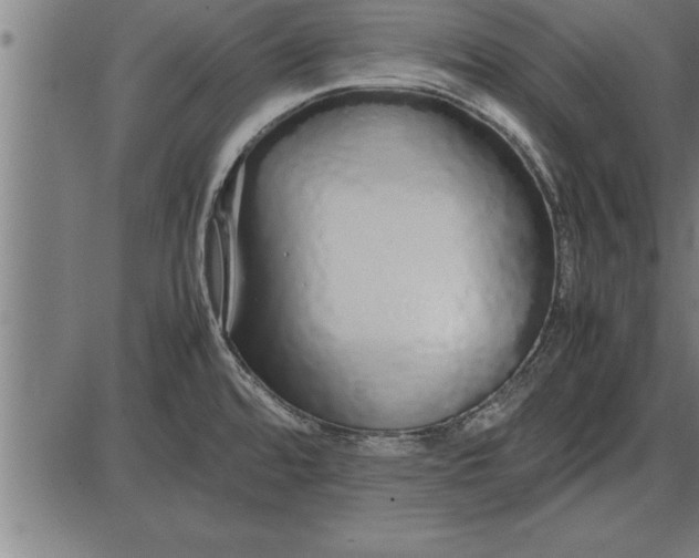 X0000086091480200704091314