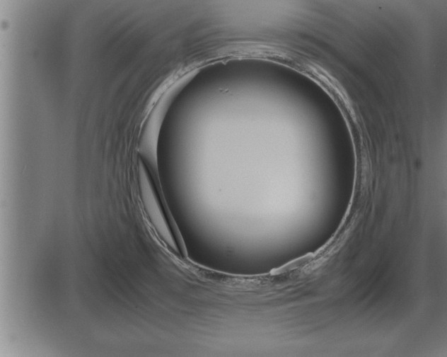 X0000086091481200704091314