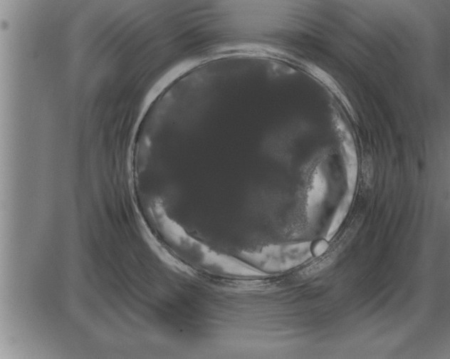 X0000086091482200704091314