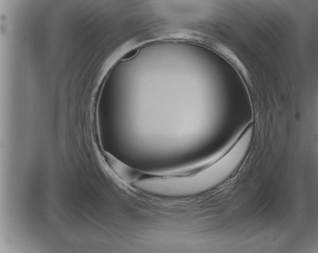 X0000086091483200704091314