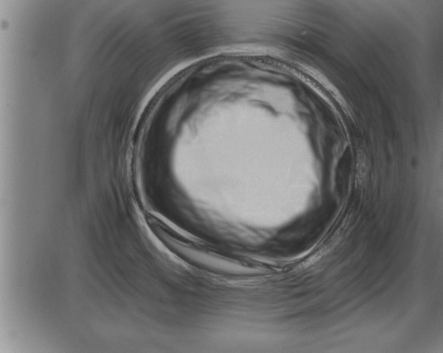 X0000086091484200704091314