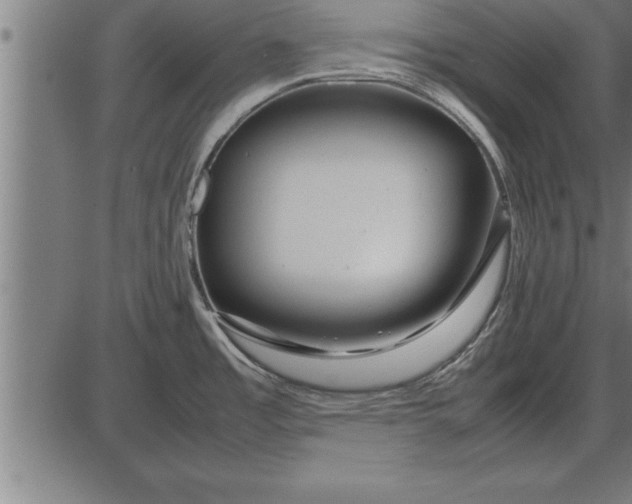 X0000086091485200704091314