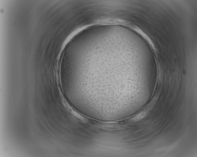 X0000086091486200704091314