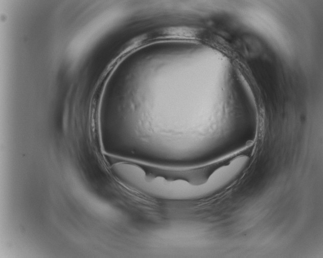 X0000086091487200704091314