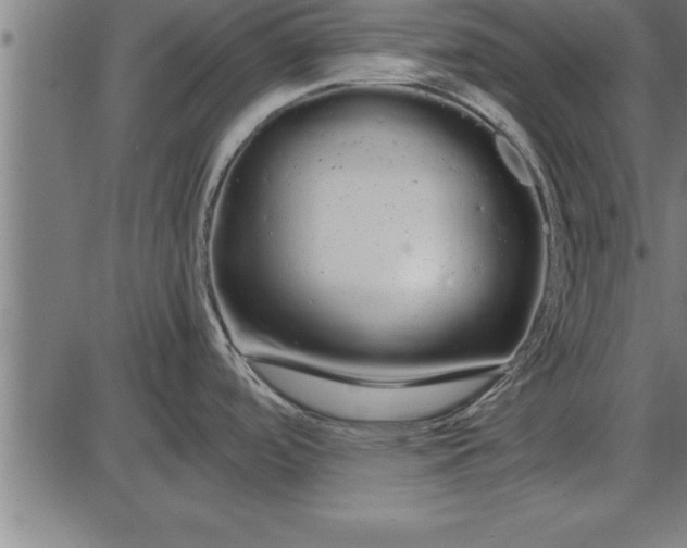 X0000086091488200704091314