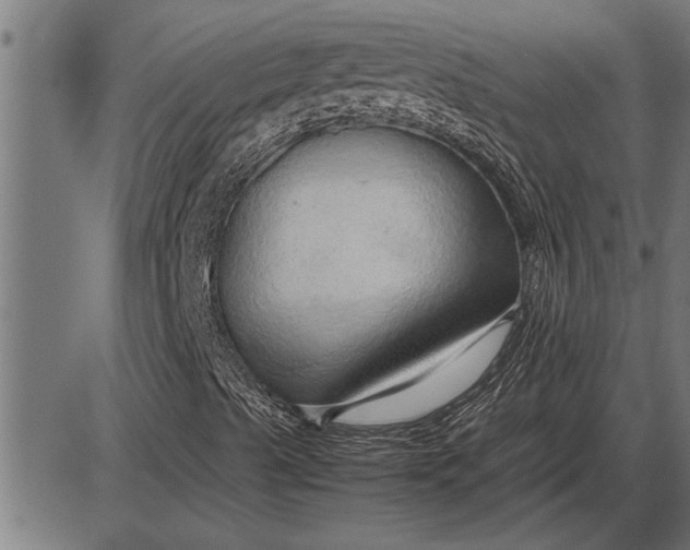 X0000086091489200704091313