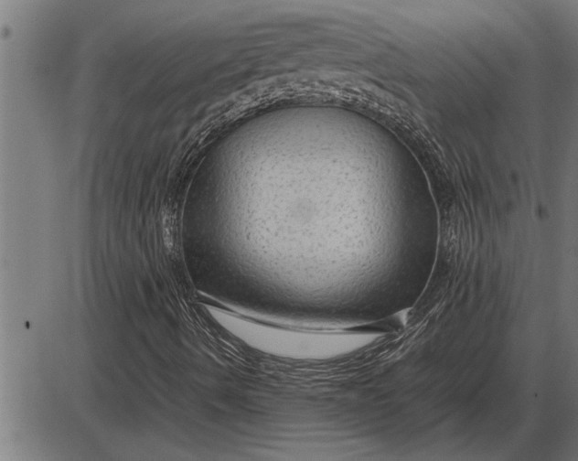 X0000086091490200704091313